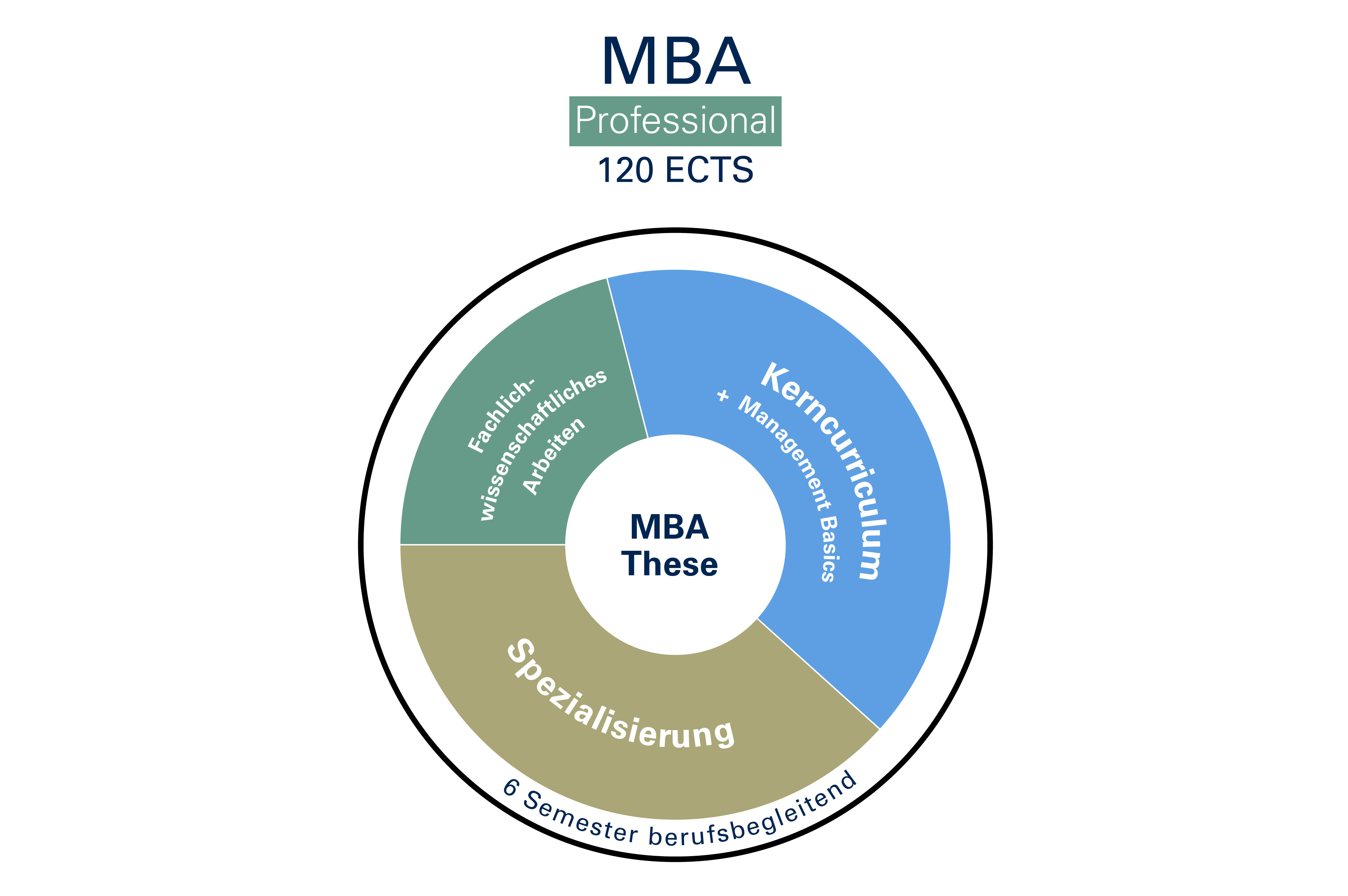 MBA Professional