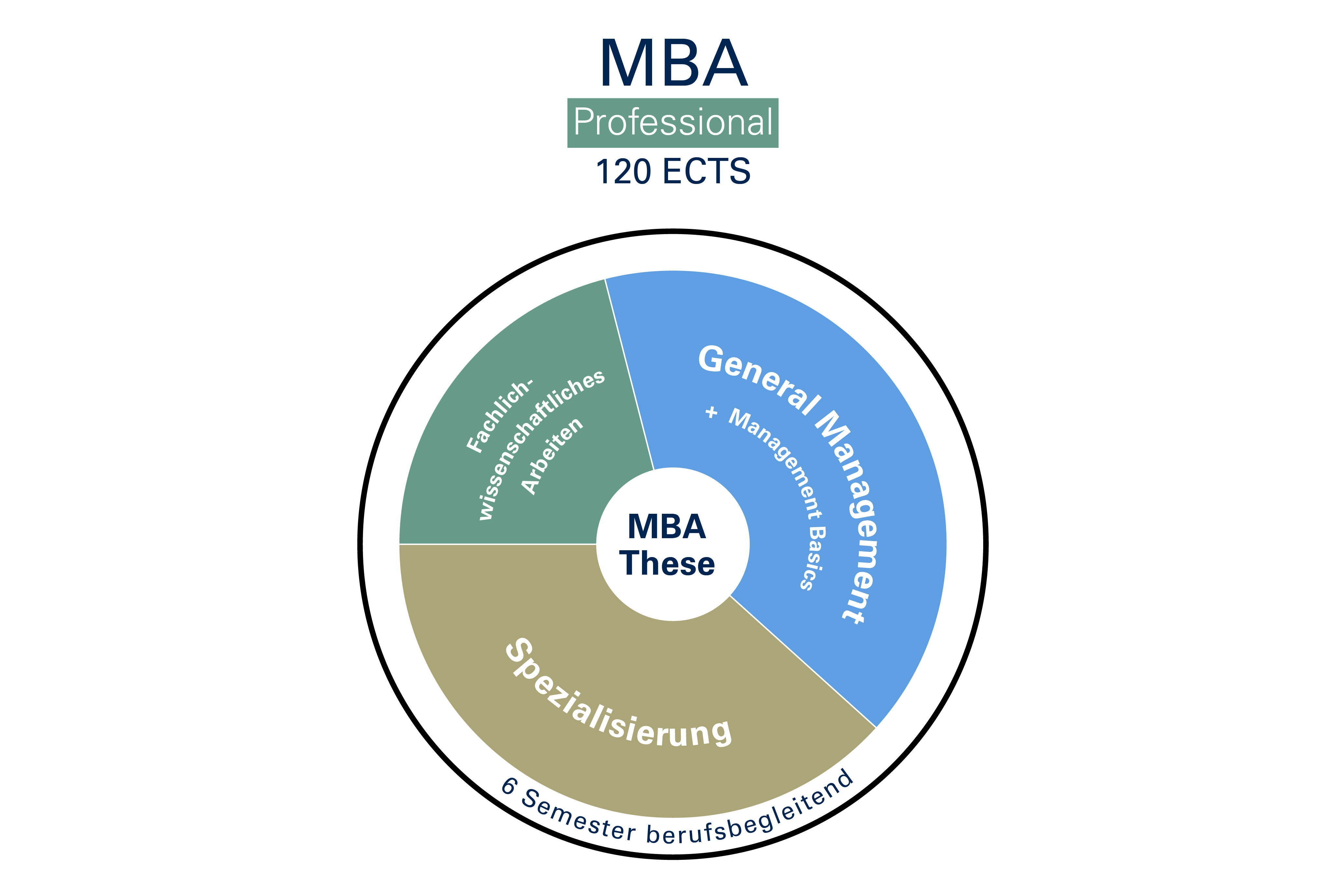 MBA Professional