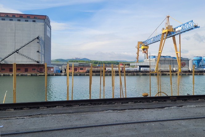 ReConnecting Cruise 2024 - Austria