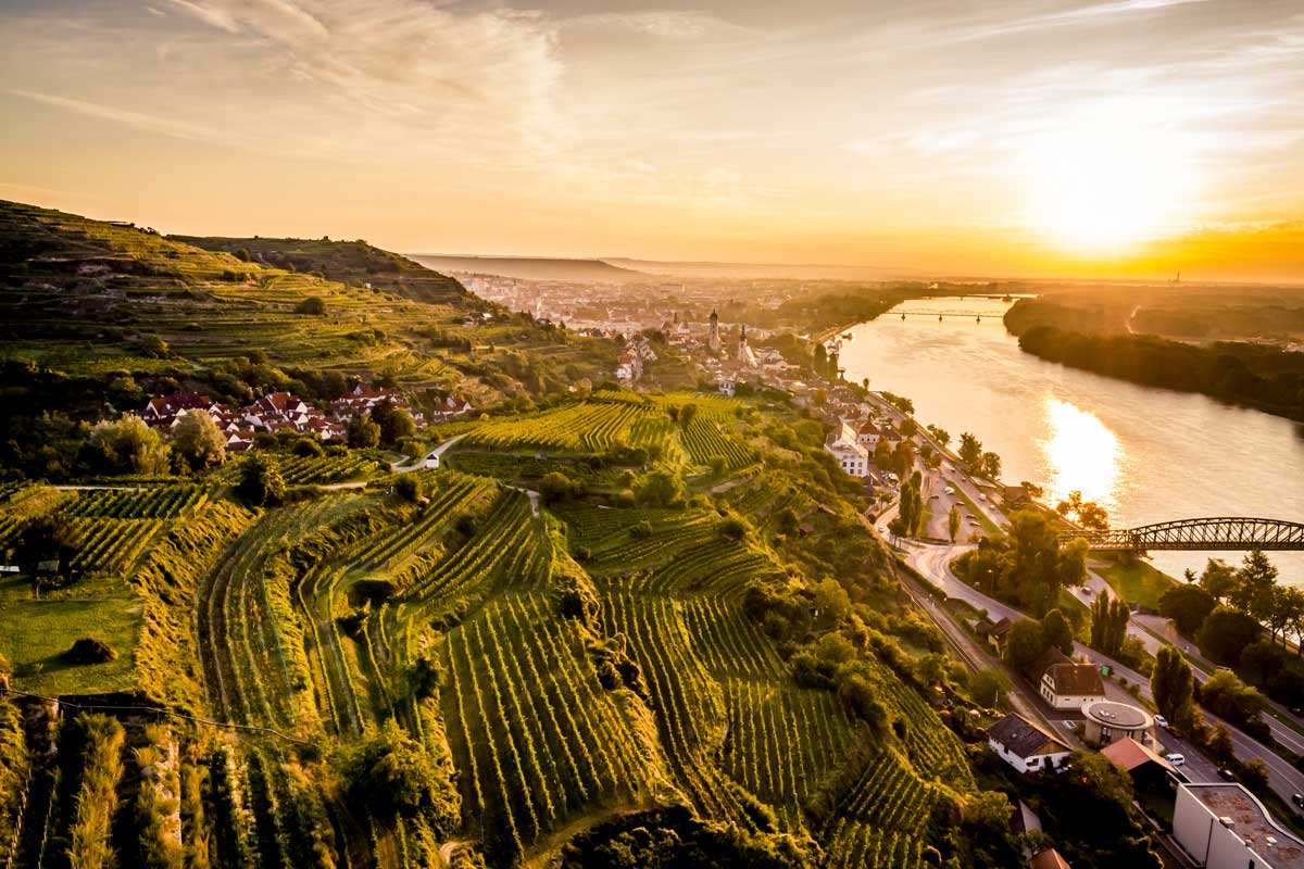 © Weingut Stadt Krems Riede Altenburg des Weinguts der Stadt Krems