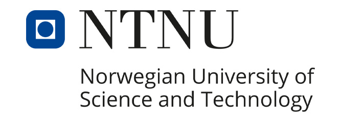 Technical and Natural Science University of Norway