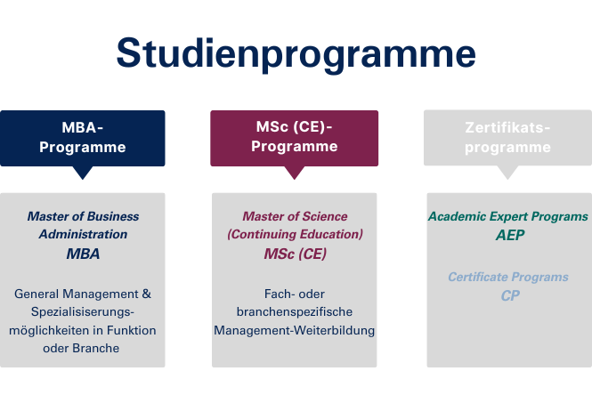 DBS Studienprogramme_Grafik