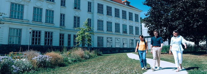 Studierende am Campus Krems