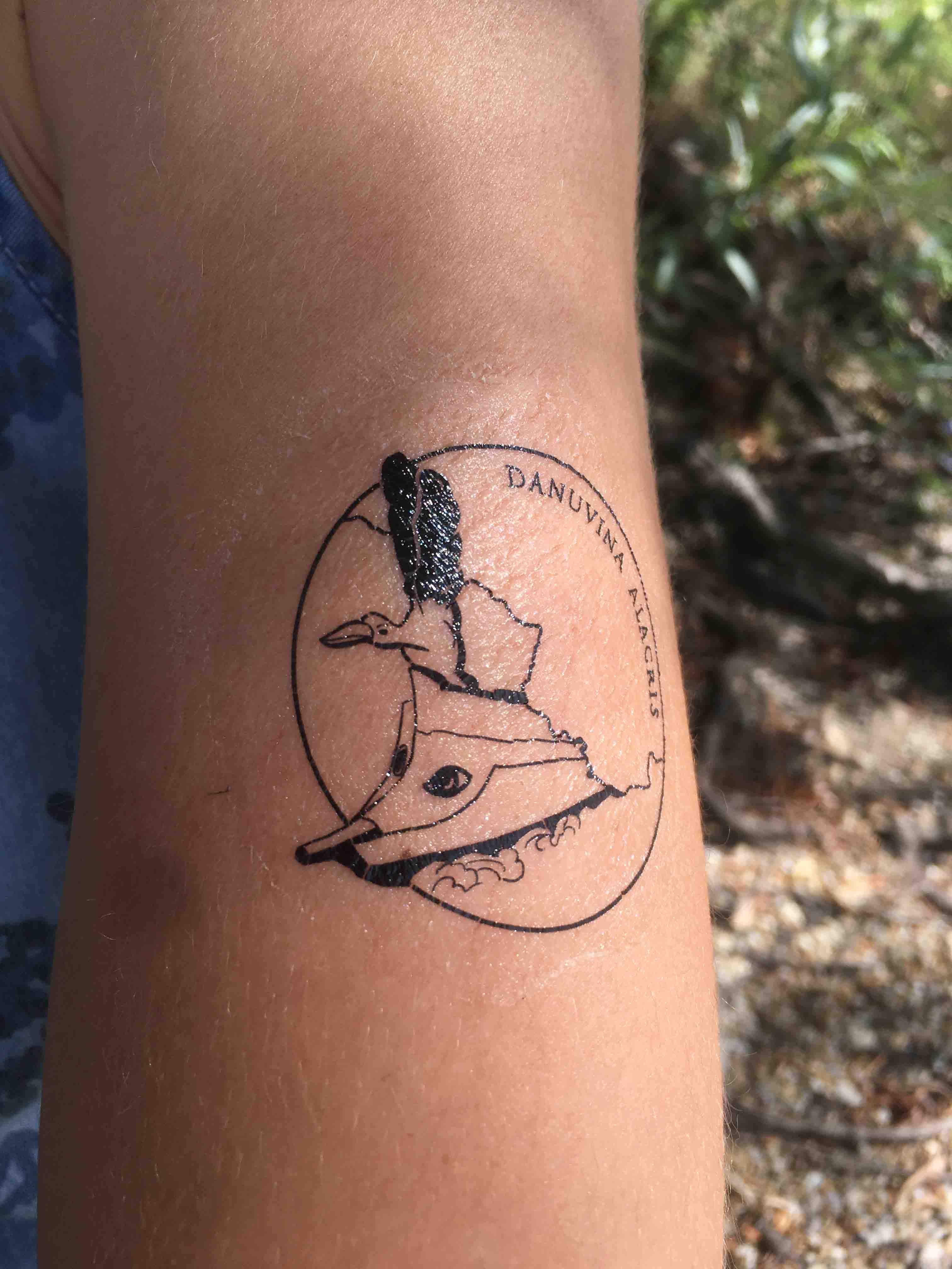 Connecting Cruise Hungary