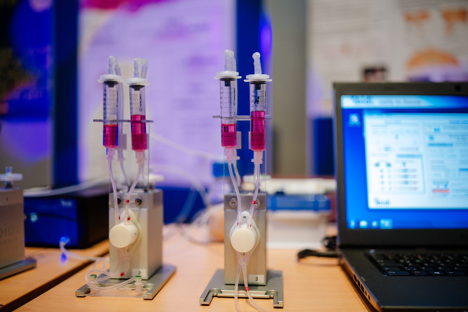 Experimente luden zum Mitmachen ein