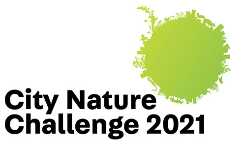 City Nature Challenge 2021