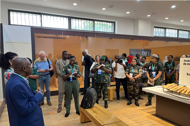 Workshop "Peacekeeping through Culture" (Kinshasa, Demokratischen Republik Kongo)