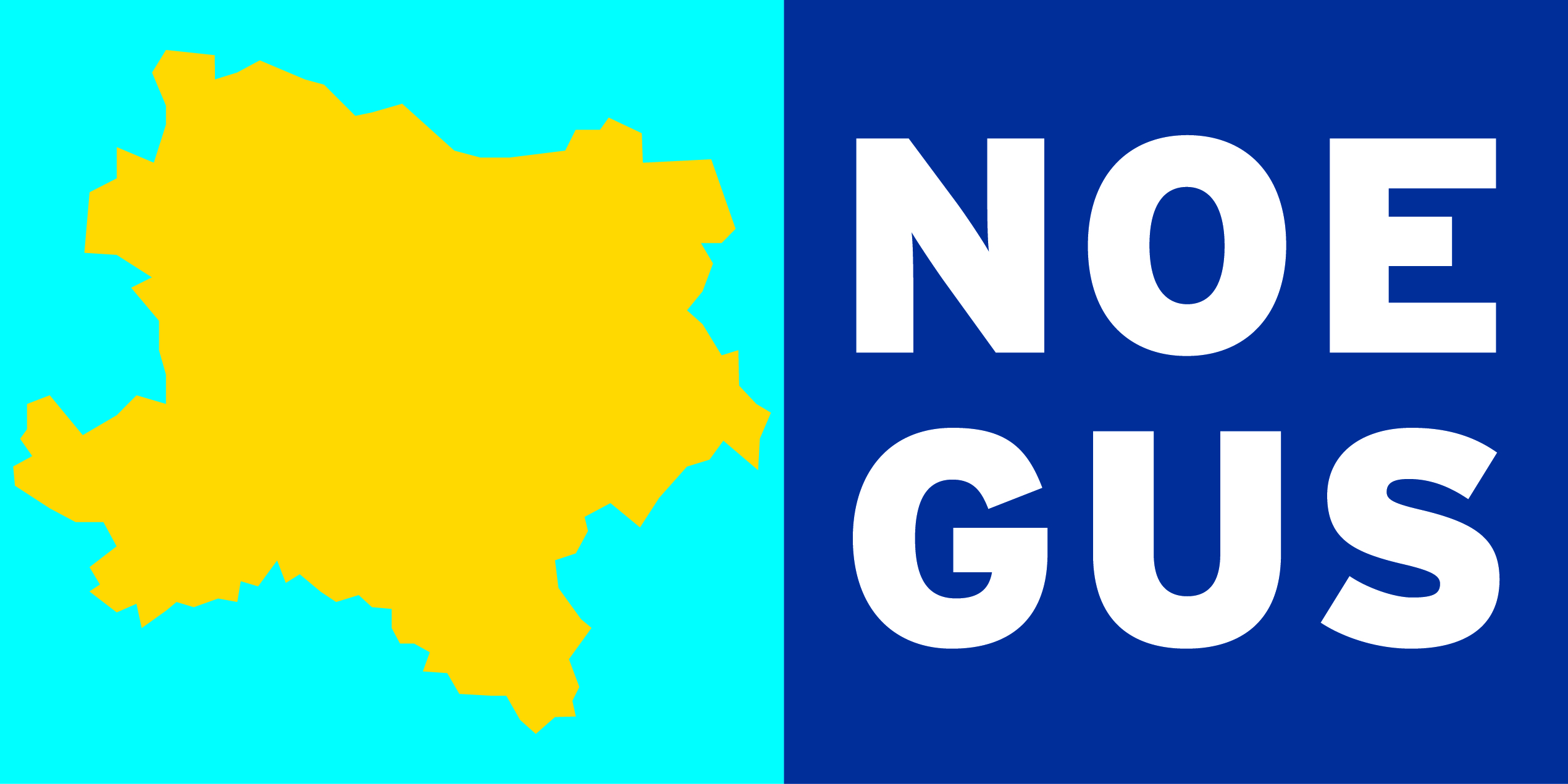 Logo Nögus